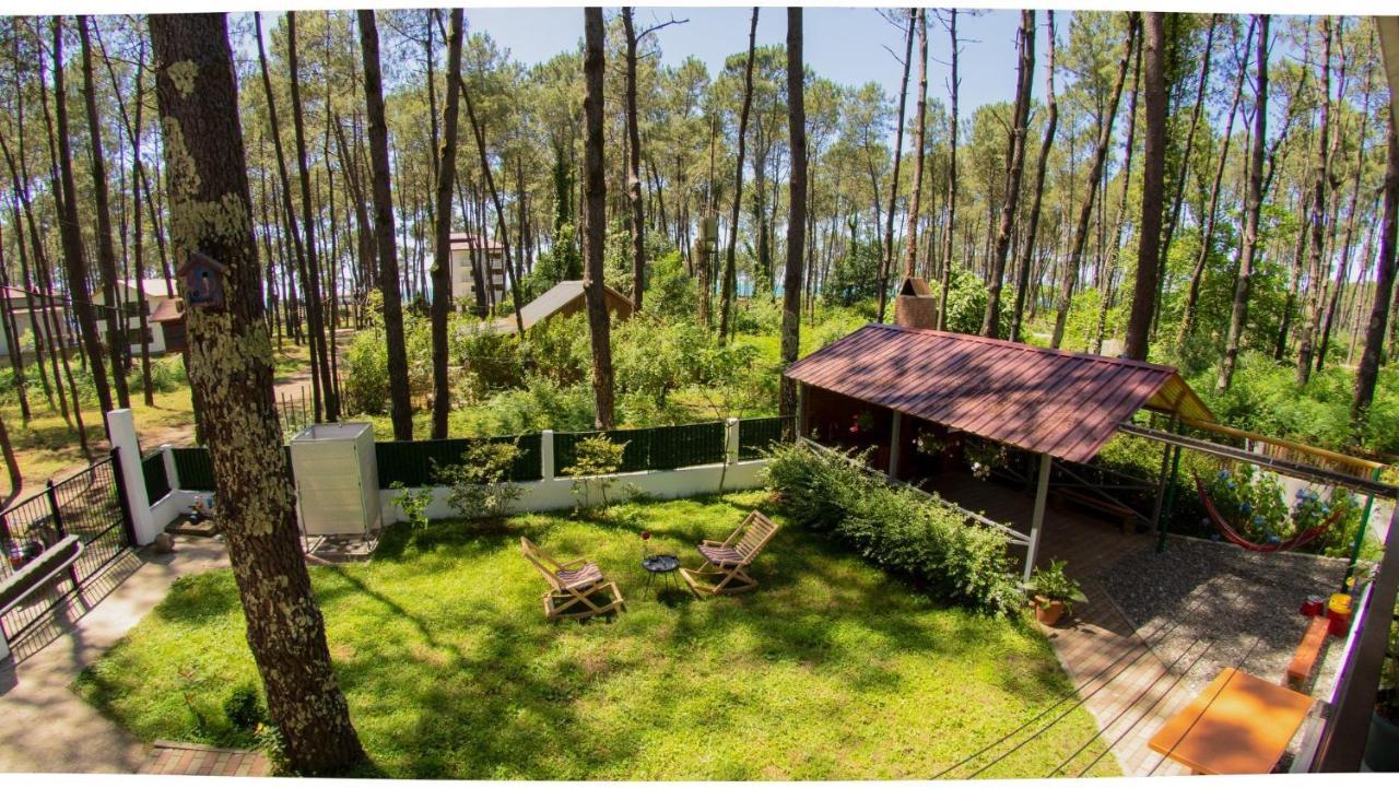 Shekvetili Big Wonder Shekhvetili Exterior foto
