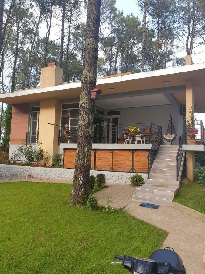 Shekvetili Big Wonder Shekhvetili Exterior foto